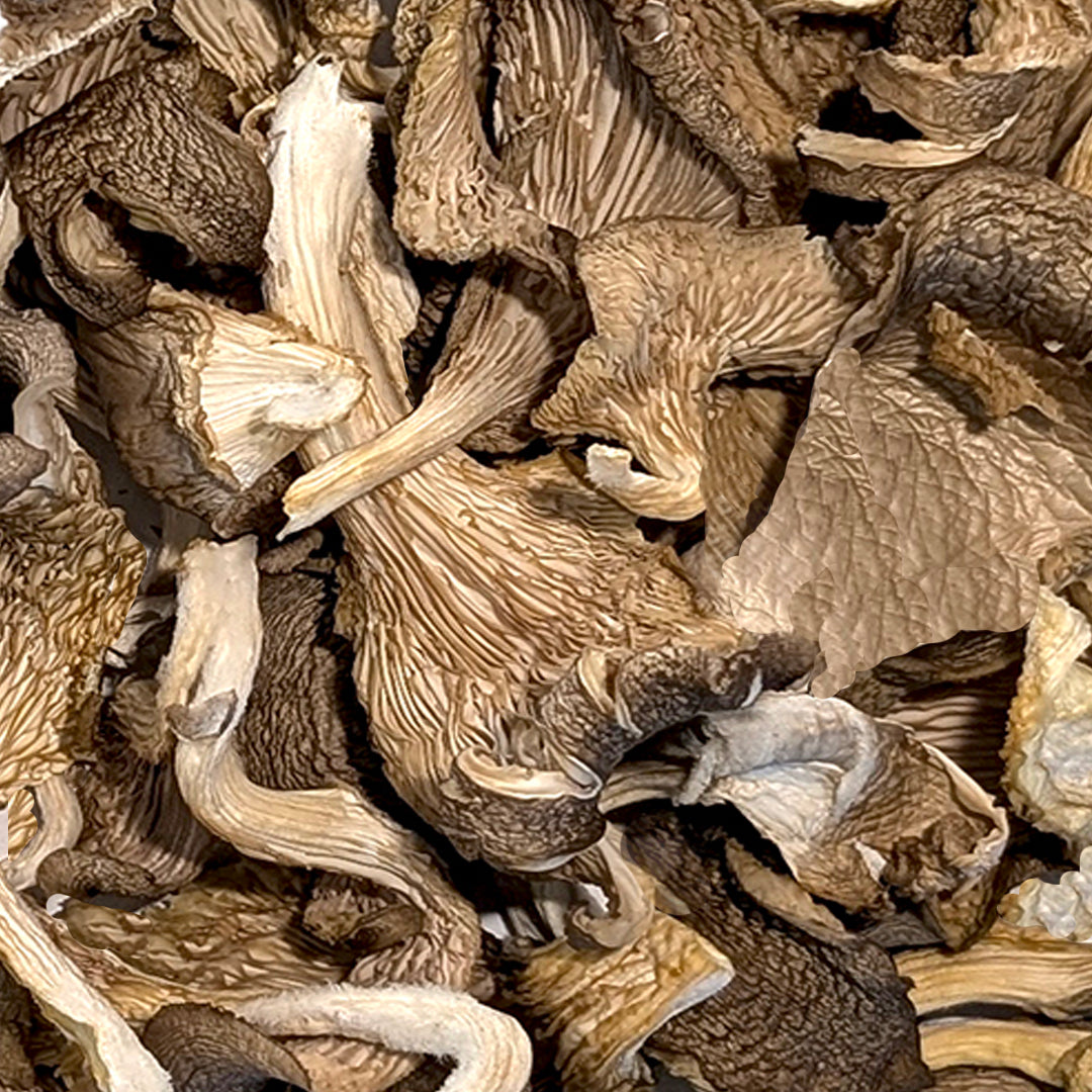 Dried Blue Oyster Mushrooms