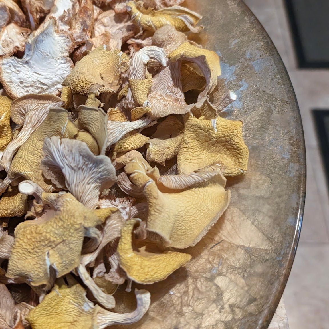 Dried Golden Oyster Mushrooms