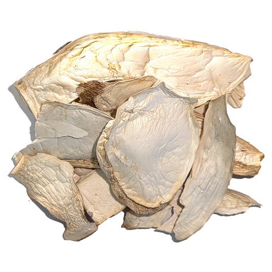 Dried King Trumpet Mushrooms