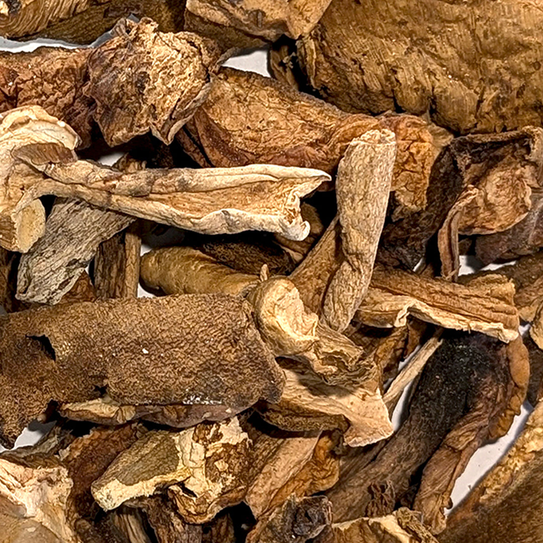 Dried Porcini Mushrooms