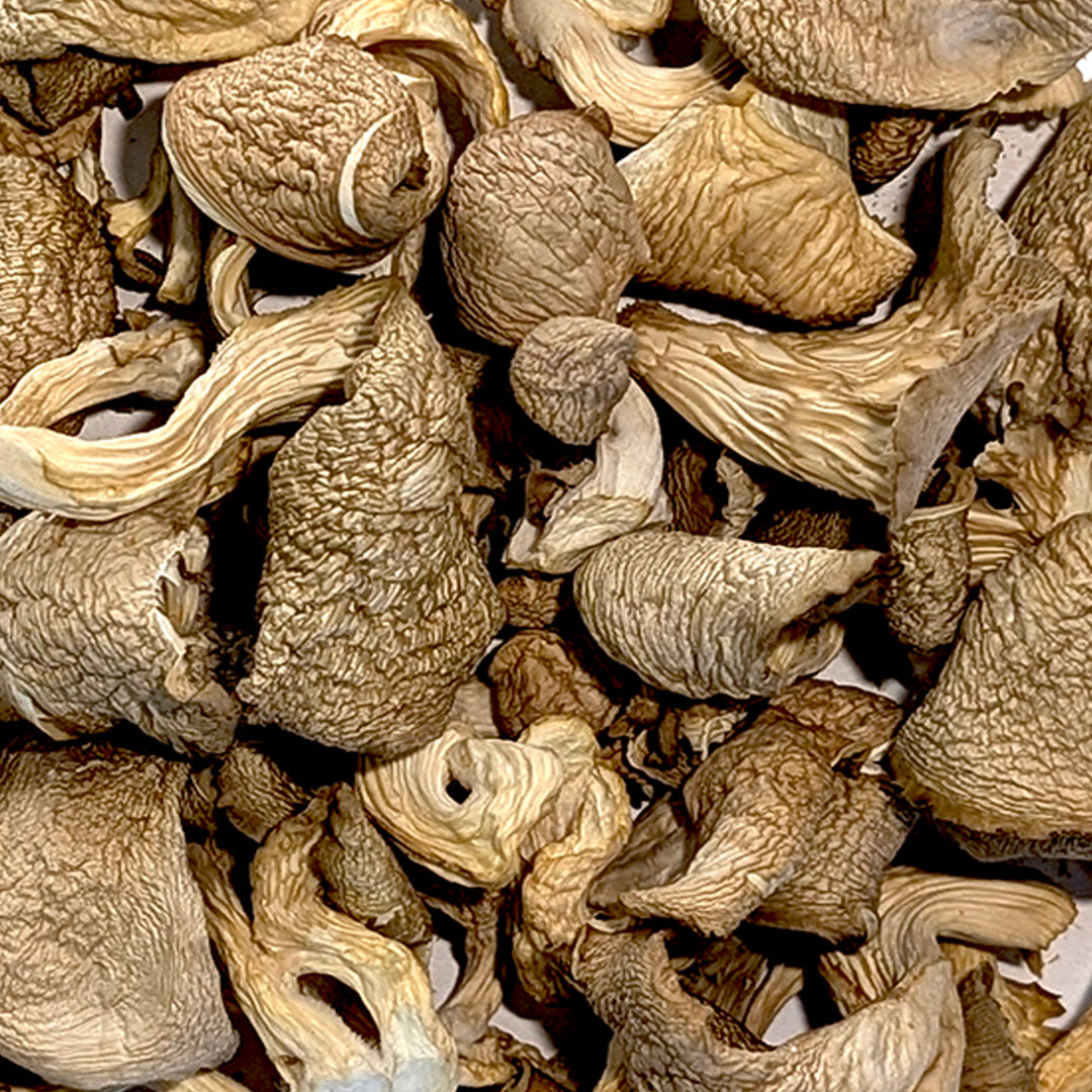 Dried Princess Pearl Mushrooms