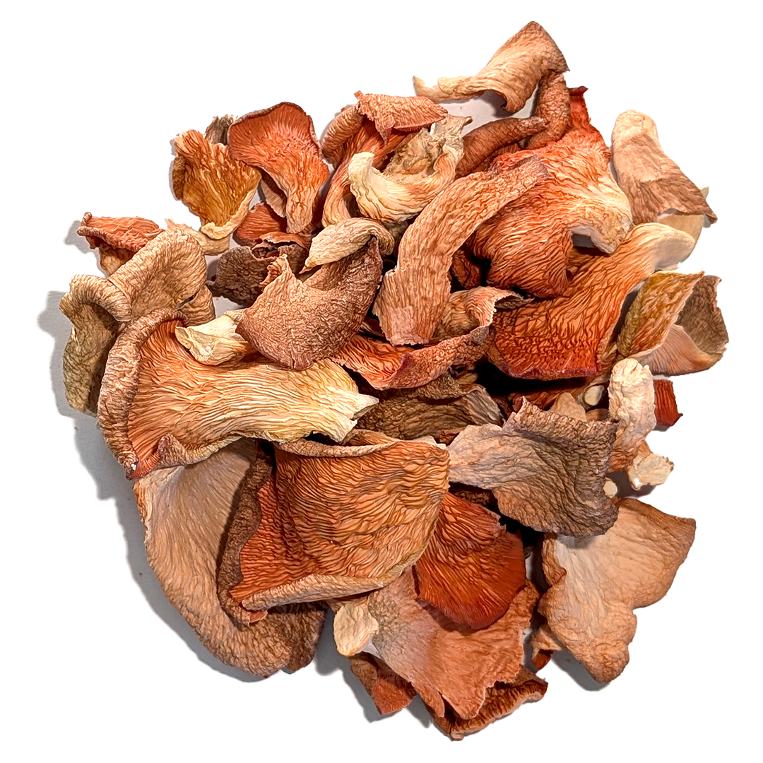 Dried Valentine Oyster Mushrooms